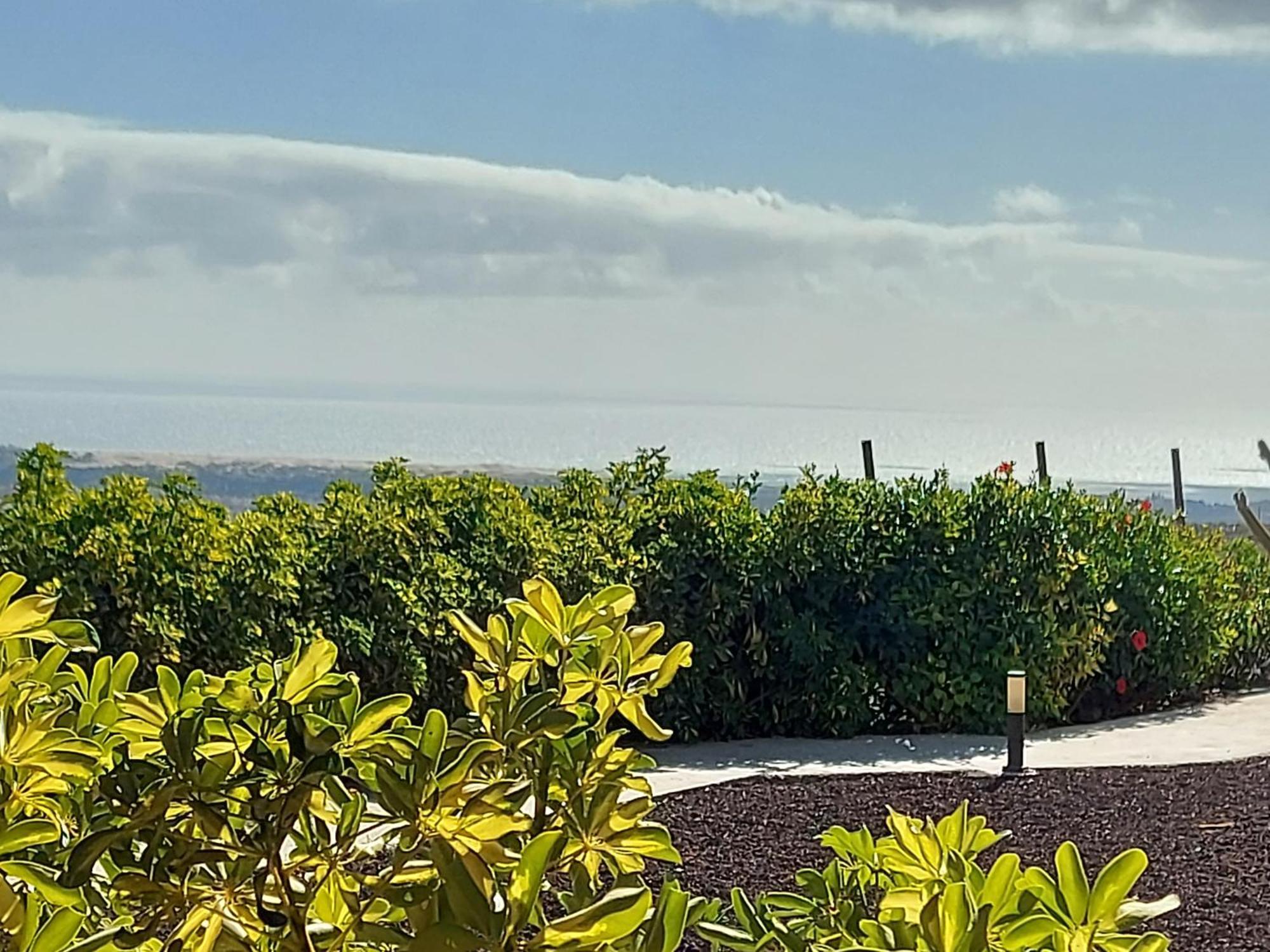 Lantställe The Black Horse Canarias - Adults Only *