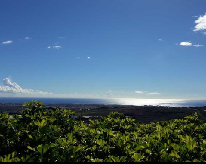 The Black Horse Canarias - Adults Only Lantställe