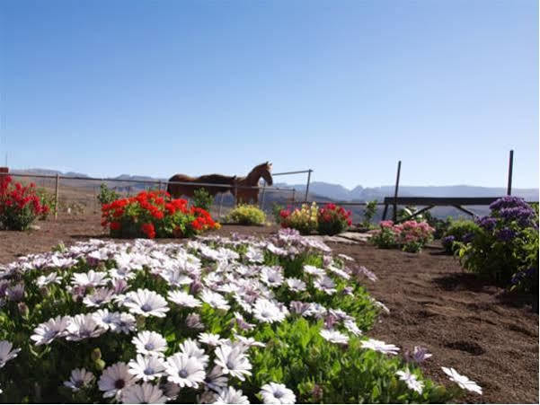 Lantställe The Black Horse Canarias - Adults Only *